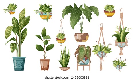 Houseplant and macrame plant growing in pots. Set of handmade home decorations macrame plants isolated on white background. Cartoon flat illustration