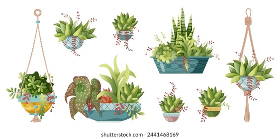 Houseplant and macrame plant growing in pots. Set of handmade home decorations macrame plants isolated on white background. Cartoon flat illustration