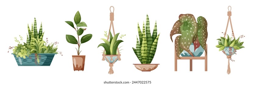 Houseplant and macrame plant growing in pots. Set of handmade home decorations macrame plants isolated on white background. Cartoon flat illustration