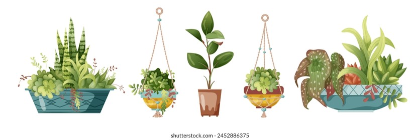 Houseplant and macrame plant growing in pots. Set of handmade home decorations macrame plants isolated on white background. Cartoon flat illustration