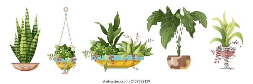 Houseplant and macrame plant growing in pots. Set of handmade home decorations macrame plants isolated on white background. Cartoon flat illustration