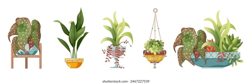 Houseplant and macrame plant growing in pots. Set of handmade home decorations macrame plants isolated on white background. Cartoon flat illustration