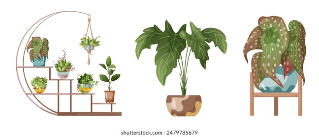 Houseplant and macrame plant growing in pots. Set of handmade home decorations macrame plants isolated on white background. Cartoon flat illustration