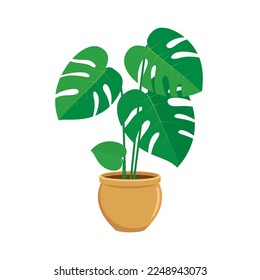 Vector de ícono de monstera deliciosa de la huerta. Flor verde interior en un vector de icono de olla aislado en un fondo blanco. Monstruo verde fresco en un dibujo de maceta de flores