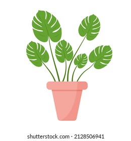 Houseplant Monstera Deliciosa leaf from tropical forests in stylish pot. Urban jungle, trendy home decor. Vector illustration.