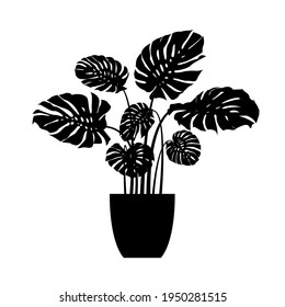 Houseplant Monstera Deliciosa In A Pot. Plant Vector Silhouette Isolated On White Background