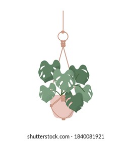 Houseplant monstera hanging macrame planter hand drawn vector art elements illustration