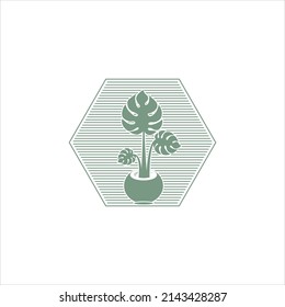 Houseplant monstera logo illustration design