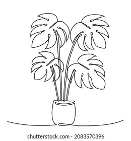 Monstera de plantas domésticas en un plano de línea continua, ilustración vectorial