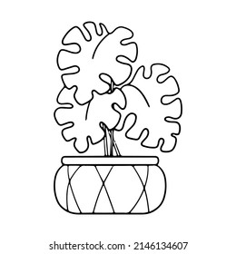 Houseplant, monstera in a pot. A simple black and white illustration on a white background.