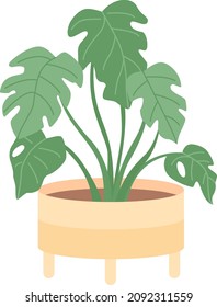 Houseplant for office interior decor semi flat color vector item. Realistic object on white. Tropical plant for home isolated modern cartoon style illustration for graphic design and animation
