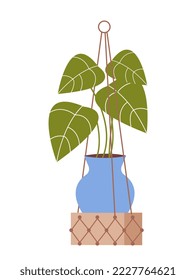 Houseplant on macrame hanger. Blue vase with flowering plant and green leaves. Home decor woven from threads. Design element for print. Cartoon flat vector illustration isolated on white background