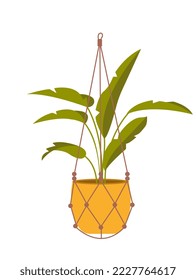 Houseplant on macrame hanger. Wicker string bag made of thick threads to decorate flower pot. Beautiful plant with green leaves. Cartoon flat vector illustration isolated on white background