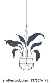 houseplant on macrame hangers icon