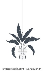 houseplant on macrame hangers icon