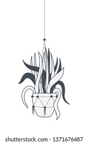 houseplant on macrame hangers icon
