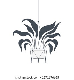 houseplant on macrame hangers icon