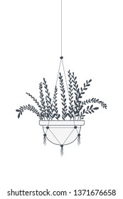 houseplant on macrame hangers icon