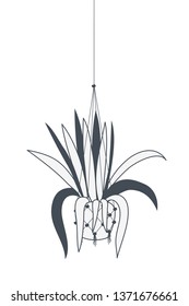 houseplant on macrame hangers icon