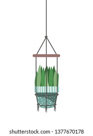 houseplant on macrame hangers icon
