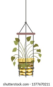 houseplant on macrame hangers icon