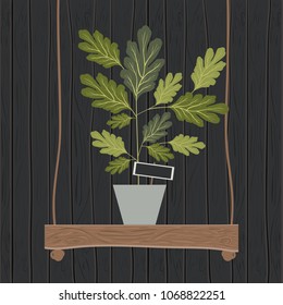 houseplant on swing wooden decoration