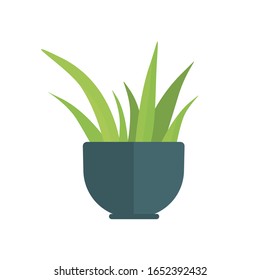Houseplant on white background. Vector illustration in trendy flat style. EPS 10.