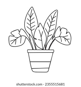 Houseplant outline. Doodle houseplant isolated on white background. Vector illustration.