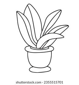 Houseplant outline. Doodle houseplant isolated on white background. Vector illustration.