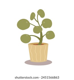 Houseplant, Pilea peperomioides in pot. Flat cartoon style vector illustration isolated on white background