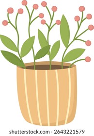Houseplant with pink berries grows in a pot. Illustration with a flowerpot isolated on a transparent background