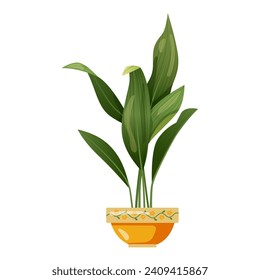 Houseplant plant growing in pots. Beautiful home decorations, plants isolated on white background. Cartoon flat illustration