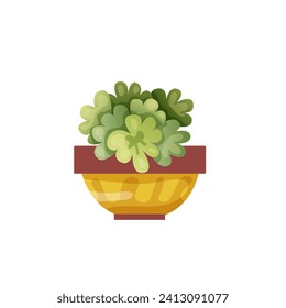 Houseplant plant growing in pots. Beautiful home decorations, plants isolated on white background. Cartoon flat illustration