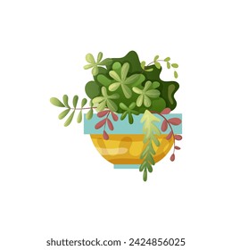 Houseplant plant growing in pots. Beautiful home decorations, plants isolated on white background. Cartoon flat illustration