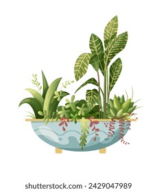 Houseplant plant growing in pots. Beautiful home decorations, plants isolated on white background. Cartoon flat illustration