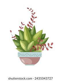 Houseplant plant growing in pots. Beautiful home decorations, plants isolated on white background. Cartoon flat illustration
