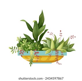 Houseplant plant growing in pots. Beautiful home decorations, plants isolated on white background. Cartoon flat illustration