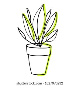 Houseplant. Plant in the pots. Doodle sketch.  Hand drawn vector stock illustration.