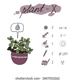  postal de planta doméstica.ilustración decorativa de vector coloreado