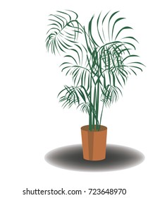houseplant in a pot.