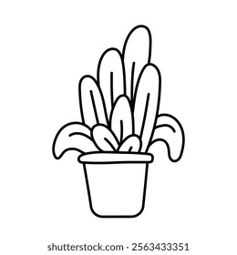 Houseplant in a pot. Black and white illustration, hand drawn coloring.