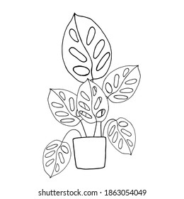 Houseplant in pot. Decoration for the interior of the house, apartment. Plant with leaves in flowerpot. Doodle style vector. Freehand drawing.