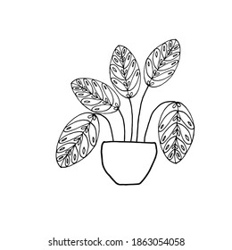 Houseplant in pot. Decoration for the interior of the house, apartment. Plant with leaves in flowerpot. Doodle style vector. Freehand drawing.