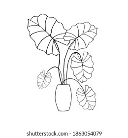 Houseplant in pot. Decoration for the interior of the house, apartment. Plant with leaves in flowerpot. Doodle style vector. Freehand drawing.