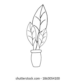 Houseplant in pot. Decoration for the interior of the house, apartment. Plant with leaves in flowerpot. Doodle style vector. Freehand drawing.