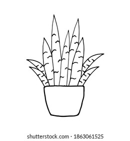 Houseplant in pot. Decoration for the interior of the house, apartment. Plant with leaves in flowerpot. Doodle style vector. Freehand drawing.