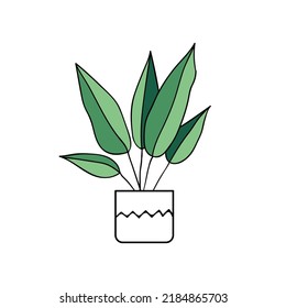 Houseplant in pot. Decorative green plant for home and office isolated on white background. Colored flat vector illustration. 