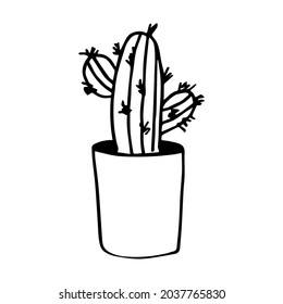 Houseplant in the pot in doodle style. Hand drawn potted plant for home. Hand drawn simple black outline vector illustration in cartoon doodle style, isolated. Home gardening