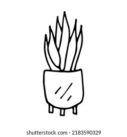 Houseplant in pot doodle style vector illustration isolated on white background