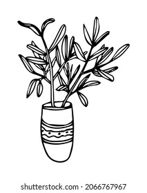 Houseplant in a pot drawn with a contour in doodle style. Vector illustration.